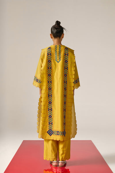 APPLIQUE' AND OUTLINE PANELLED KAMEEZ