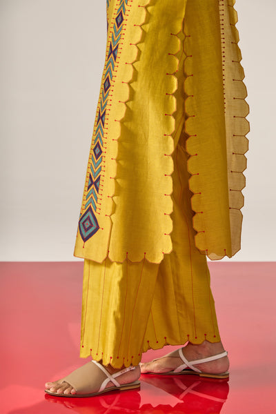 APPLIQUE' AND OUTLINE PANELLED KAMEEZ