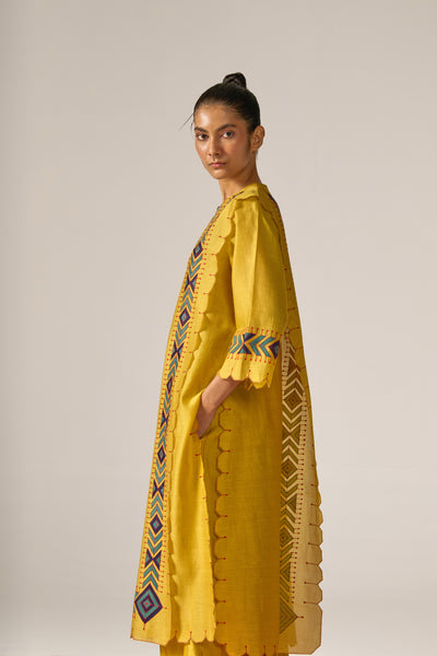 APPLIQUE' AND OUTLINE PANELLED KAMEEZ