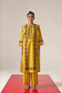 APPLIQUE' AND OUTLINE PANELLED KAMEEZ