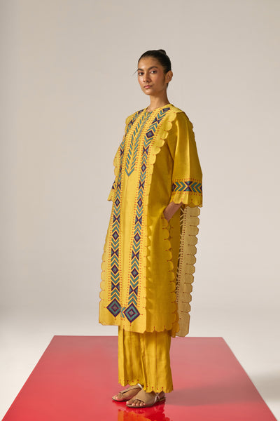 APPLIQUE' AND OUTLINE PANELLED KAMEEZ