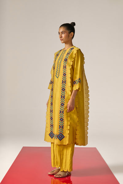 APPLIQUE' AND OUTLINE PANELLED KAMEEZ