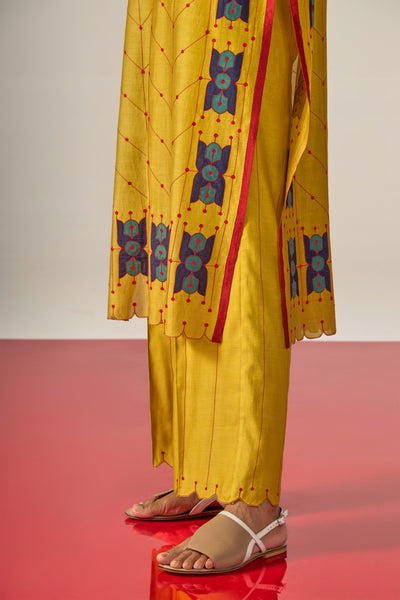 APPLIQUE' AND OUTLINE PLEATED KAMEEZ